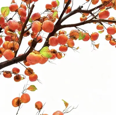 Artificial Persimmon Wishing Tree for Outdoor Decoration - 5
