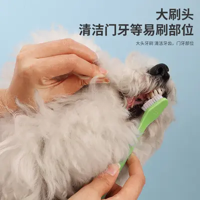 Pet Toothbrush for Cats and Dogs
