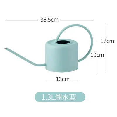 Iron Watering Can with Long Spout, Fine Nozzle for Succulents, Household and Garden - 8