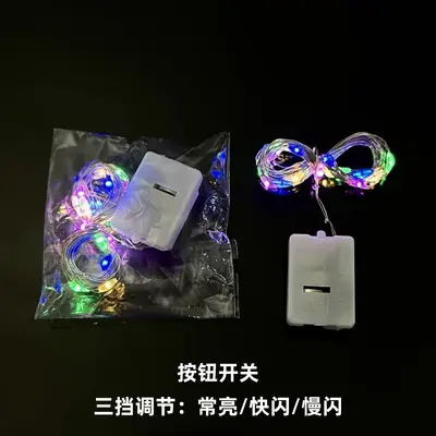 LED String Light, Small, Adjustable, Flash and Multicolor - 11