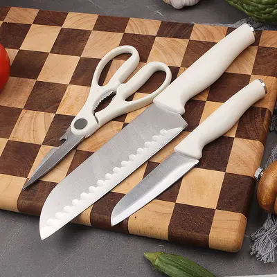 Home knife set, 5-piece including chef, slicing and fruit knives - 3