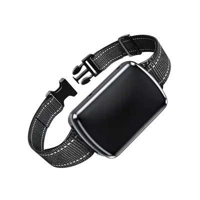 4G Beidou GPS takip cihazı M10 köpek ve kedi evcil hayvan tasması izleme cihazı kayıp önleyici IP68 su geçirmez - 6