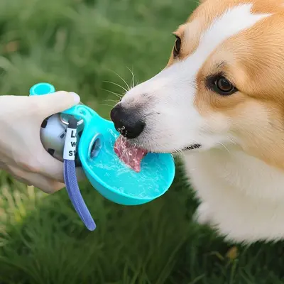 Tragbare Wasserflasche für Hunde für unterwegs, grenzüberschreitendes Haustierzubehör, Edelstahl mit Haken, kugelförmig, rückfließend, faltbarer Wassernapf