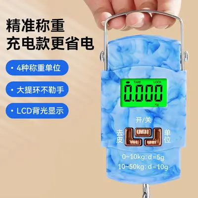 High-precision fishing express scale portable hand scale electronic weighing scale gram scale accurate vegetable sales spring hanging scale electronic balance