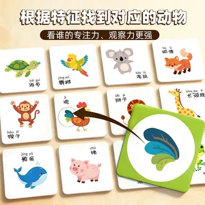 Zoo Director Board Game, Logic and Brain Training Puzzle - 2