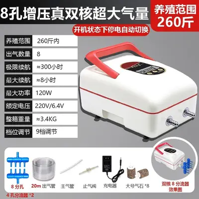Rechargeable Outdoor Oxygen Pump, Lithium Battery, AC/DC - 8