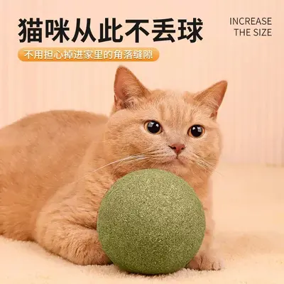 猫薄荷球超大巨无霸猫玩具自嗨解闷神器逗猫木天蓼磨牙棒猫咪用品 - 5