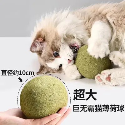 Extra Large Catnip Ball Cat Toy, Self-Play Boredom Relief
