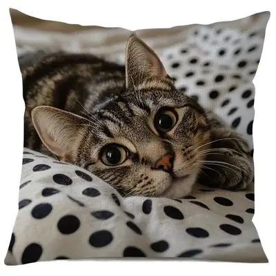 TEMU meistverkaufte Katzenkissenbezug, zum Spielen mit dem Mobiltelefon, niedlicher Katzenschlafzimmer Zuhause Sofa dekorativer Dekokissenbezug Großhandel