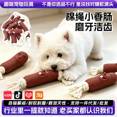 Hunde-Kauspielzeug aus Kautschuk für Welpen Zahnpflege Wurst-Design