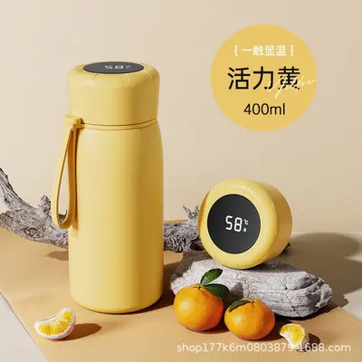 Large Capacity Stainless Steel Insulated Bottle, Portable, with Tea Infuser - 8