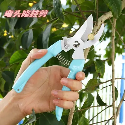 Florist scissors for flower arrangements, pruning shears, garden pruning branches, flower branches, bonsai flowers, fruit picking tool
