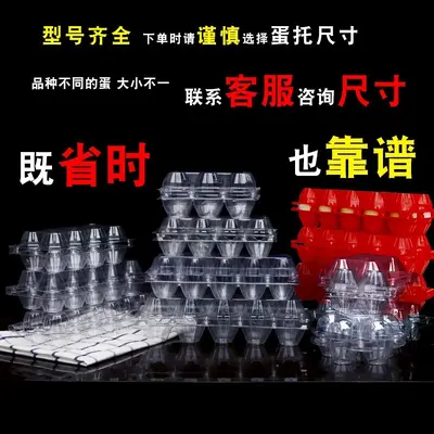 Transparent Plastic Egg Carton, Disposable, 10-Piece, for Chicken, Pigeon, Duck and Quail