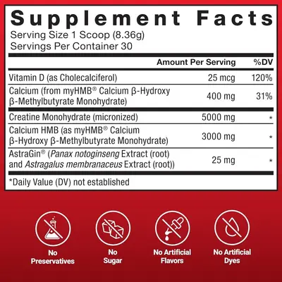 TK跨境 一水肌酸粉高纯度一水合物锌镁Creatine+HMB Power现货批