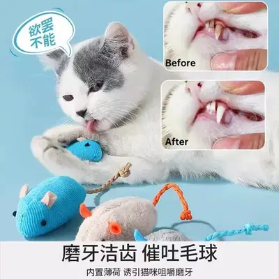 Cat Toy Set with Mice and Catnip, Durable Interactive Play - 4