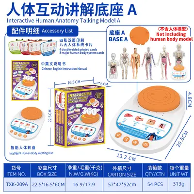 Children STEM Educational Toy, Removable Human Body Anatomy Model - 8