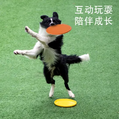 Weiche Hunde-Frisbee, schwimmfähig, bissfest - 4