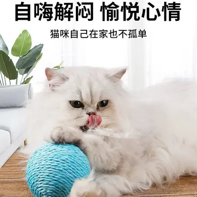 Oversized Sisal Cat Ball with Squeaker, Scratch and Chew Toy