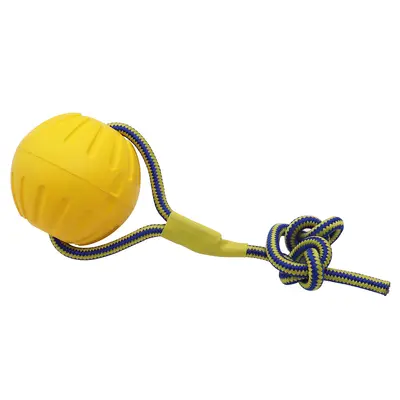 EVA Bite-Resistant Dog Chew Toy with Pull Ring - 10