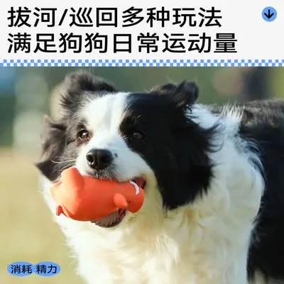 QMONSTER乳胶发声狗狗玩具耐咬发声肌肉小动物磨牙棒宠物中小型犬