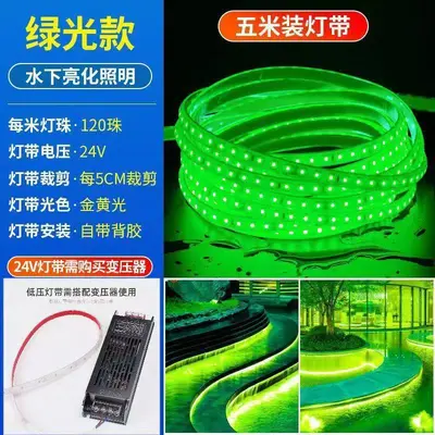 LED solid silicone waterproof light strip low voltage 24v self-adhesive cuttable outdoor engineering underwater soft light strip - 12