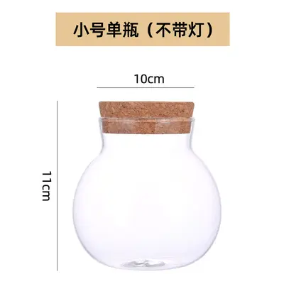 High Borosilicate Glass Hydroponic Plant Bottle, Desktop Vase and Betta Tank - 7