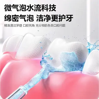 浦若飞电动冲牙器 便携式300ML家用口腔清洁牙齿专用洁牙器水牙线