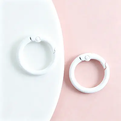 Painted alloy spring clasp key ring, DIY accessory - 8