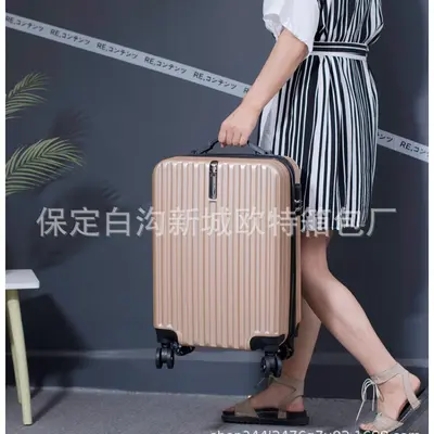 Trolley Travel Suitcase, 20 Inch, Universal Wheels, Combination Lock, Lightweight - 3