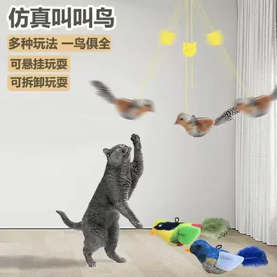 Sound Chirping Bird Hanging Feather Cat Teaser Toy - 4