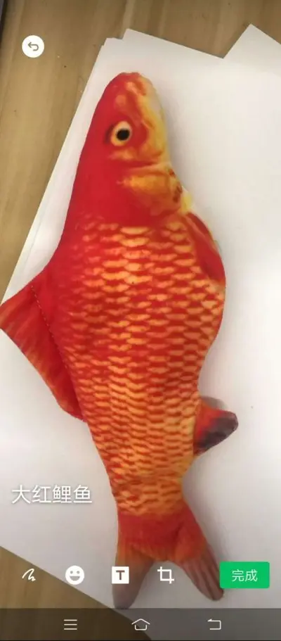 Electric Cat Toy - Fish Shape, Interactive - 8