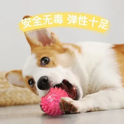 Light-Up Squeaky Ball, Colorful LED Dog Toy for Puppies - 4