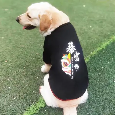 Yaz için kollu ince evcil hayvan kıyafeti, orta ve büyük ırk köpekler için nefes alabilen