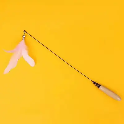 CFA Cat Teaser Wand, Long Pole with Feathers, Chew-Resistant, Replaceable Head - 10