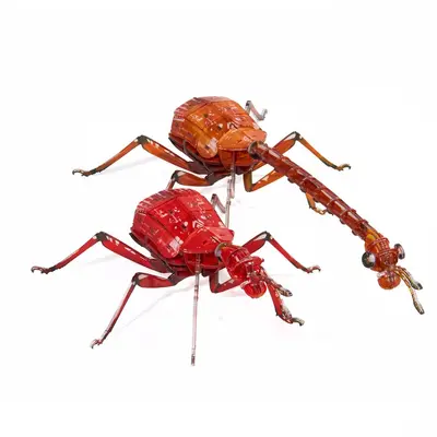 Acrylic 3D Insect Puzzle Model with Building Blocks - 7