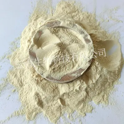 工业蛋白粉水解皮胶皮革填充涂料动物蛋白粉打腻子水解工业蛋白粉