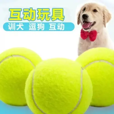 Köpek Oyuncak Topu, Elastik, Dayanıklı, Çiğneme Dirençli - 4
