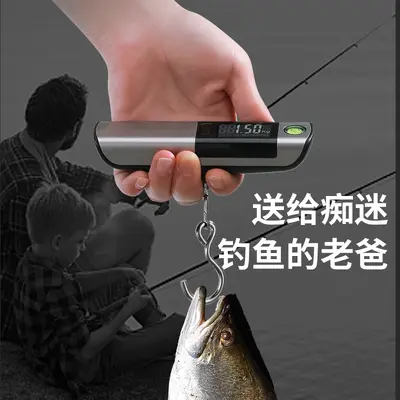 Electronic scale portable for luggage and parcels