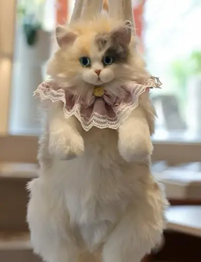 Peluş kedi sırt çantası, sevimli, yumuşak, çocuk oyuncağı ve hediye