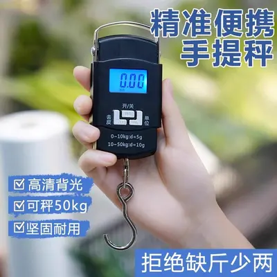 Portable digital scale, high precision, with hook