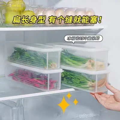 Cilantro Yeşil Soğan Saklama Kutusu Buzdolabı Taze Tutma Kutusu Kişniş Bütün Saklama Aracı Makarna Yumurta Hazırlık Taze Tutma Sızdırmaz Kapaklı
