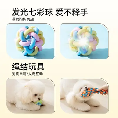 Chew-Resistant Squeaky Dog Toy Gift Pack for Small Breeds - 5