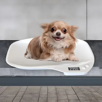 Evcil hayvan ağırlık ölçeği kedi ve köpek tartı cihazı ev küçük hayvan yenidoğan dijital ölçekli doğru ölçüm evcil hayvan dükkanı - 7