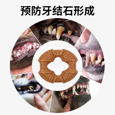 Durable Dog Chew Bone for Small and Medium Dogs, In Stock - 5