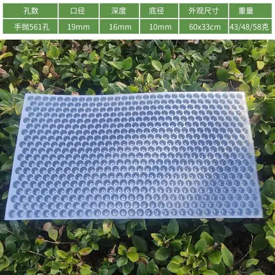 Thickened Rice Seedling Tray, Transparent, 434-Hole - 9