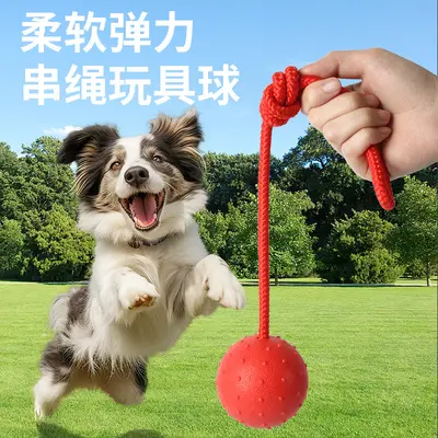 Elastik katı dikenli köpek topu, diş kaşıma oyuncağı