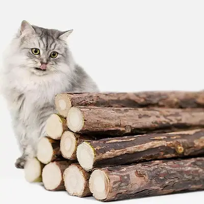 Silvervine Cat Toy Stick, Durable Molar Chew Stick - 5