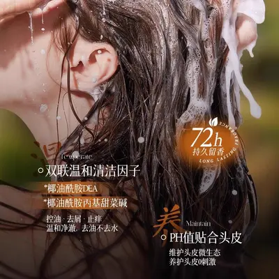 Thujenblatt-Ingwer-Shampoo mit Ginseng, gegen Haarausfall und Schuppen, kontrolliert Fett