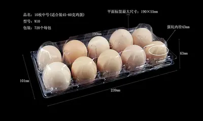 Transparent Plastic Egg Carton, Disposable, 10-Piece, for Chicken, Pigeon, Duck and Quail