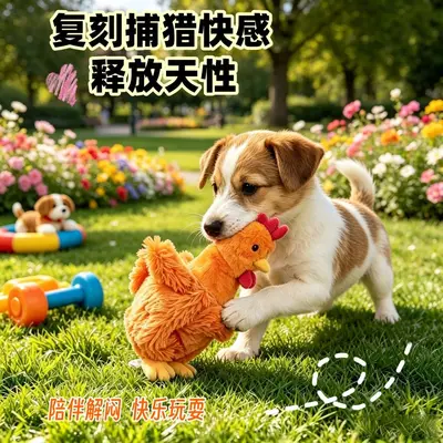 Squeaky Chew Dog Toy, Intelligence Training, Energy Burning - 4